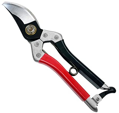 Kimura® 8 Samurai Garden Secateurs, [Made in Japan], Heavy Duty Premium Japanese Yasugi Steel Blades, Non-Slip Vinyl Coated Handles, Lightweight & Ergonomic, Japanese Bypass Pruning Shears