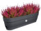 elho Vibia Campana Balkonkasten 70 mit Wasserreservoir - Blumentopf Balkon - 100% recyceltem Plastik - Ø 69.0 x H 17.0 cm - Schwarz/Anthrazit