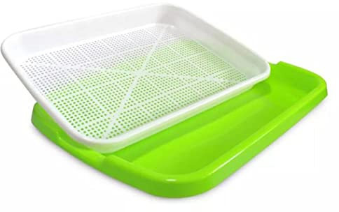 NA - Juego de brotes de semillas para brotes de semillas grandes para brotes de semillas para germinar semillas bandeja de brotes con tapa para cultivar frijoles mung, alfalfa, hierba de trigo y más