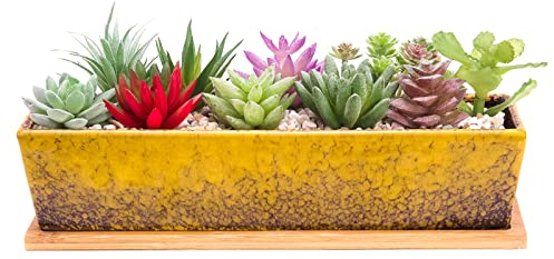 ARTKETTY Vasi per piante grasse, lunghi 30 cm, rettangolari, con vassoio di drenaggio, grandi piante da fiori di cactus in ceramica, per interni ed esterni, bonsai poco profondo, decorazione per la