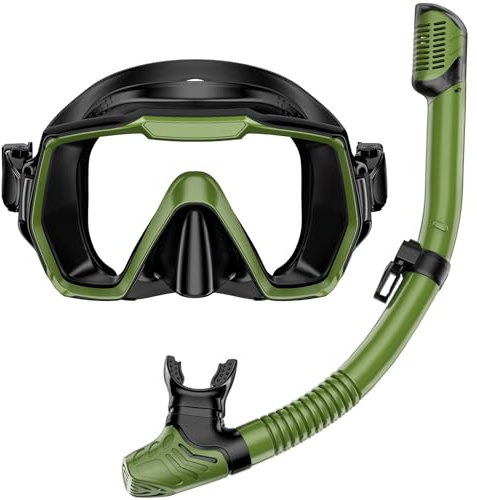 Snorkel Set Adults Snorkeling Gear Anti-Leak and Anti-Fog Tempered Glass Lens Panoramic View Swim Mask Dry Top Snorkel Kit for Snorkeling Scuba Diving Swimming Travel with Carry Bag