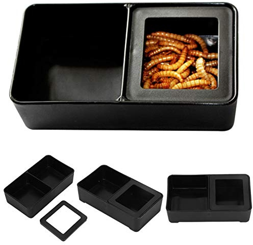 SALUTUYA 10pcs Simulazione Rettile Ciotola per l'acqua Geco Alimentatore per Piatti Alimentatore Staccabile Ventosa Alimentatore per rettili Rettile Gourmet Slot Insetti Alimentatore Gechi