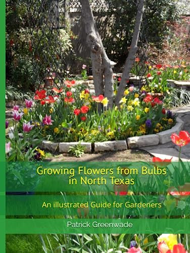 Growing Flowers from Bulbs in North Texas