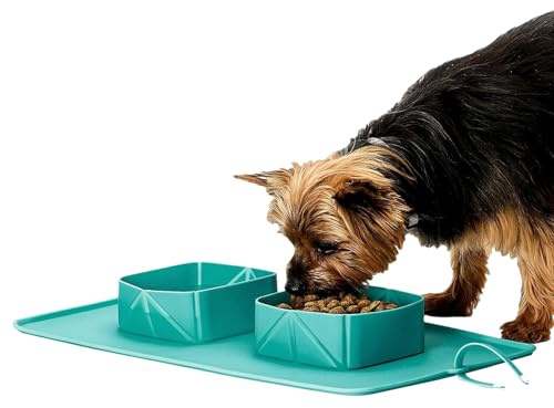 Dzqad - Cuenco de Viaje para Perros, Bandeja de Silicona Plegable Antideslizante para Gatos, Cachorros, Senderismo, Camping, Paseo Parque
