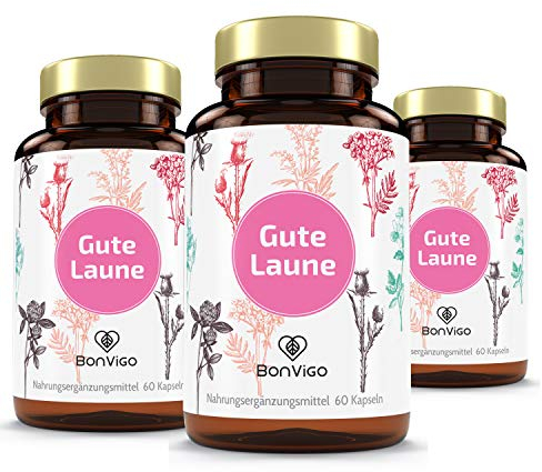 BonVigo GUTE LAUNE - Normale Funktion Nervensystem & Psyche unterstützen Vit. B7 B12, Gehirn-Botenstoffe Vit. B5 - Natur-Komplex Passionsblume Lavendel Melisse Cordyceps - L-Tryptophan, 180 Kapseln