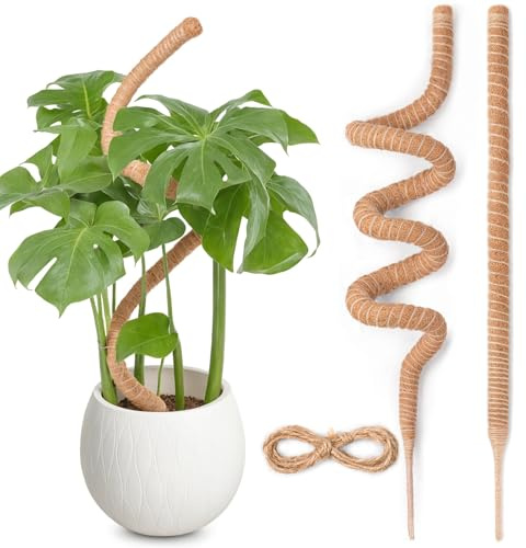 Tutores para Plantas, SproutMaven 2X 160 cm de Poste de Musgo de Monstera, Trepadoras Estacas Hechas a Mano para Plantas de Interior