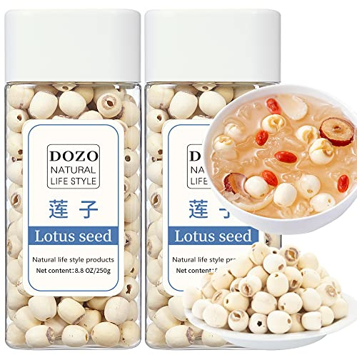 DOZO Natural Dried Lotus Seeds 17.6oz/500g Lotus Seed for Eating Core Removal Dermabrasion Premium Lotus Seed Baking＆Tea 莲子 白莲子干