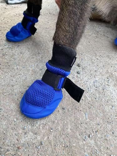 LONSUNEER Dog Boots Breathable, Dog Shoes Protecting Dog's Paws, Dog Booties with Soft and Nonslip Soles, Set of 4, Size Medium, Color Blue