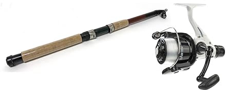 Allround-Angelset Angelcombo: Dam Allround Tele 60 Telerute + Dam Fighter Pro 3000 RD Angelrolle mit Schnur bespult - Tele-Set zum Angeln