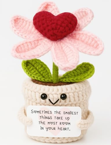 Frabaca Inspirational Gifts for Women Men - Smallest Things Take Up the Most Room Crochet Flower Ornament - Sentimental Christmas Birthday Thinking of You Present for Her Him Best Friends