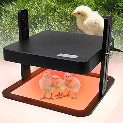 MUALROUS Incubateur de poulet plaque chauffante incubateur de volaille plaque chauffante hauteur réglable incubateur de volaille incubateur de poulet plaque chauffante de canard oisillon de caille oie