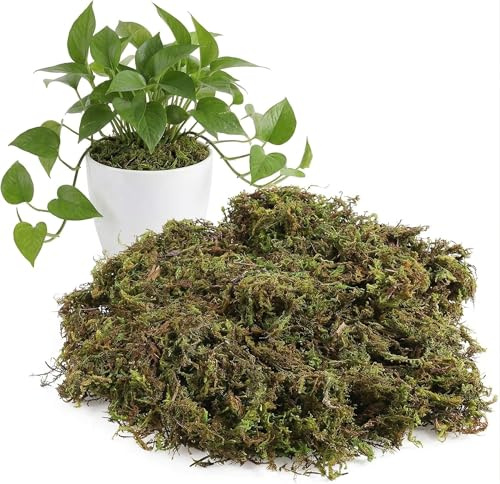 TOYANDONA 1 Bag Artificial Green Moss: 60g Realistic Fake Moss for Potted Plants, Perfect for Diy Crafts, Landscaping, Home Office Decoration, Floral Arrangements & Terrarium (natural Look