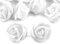 10 Deko-Rose Rosenblüte Rosenkopf 3-4cm Moosgummirosen Foamrosen Schaumrosen, Farbwahl, Farbe:weiß
