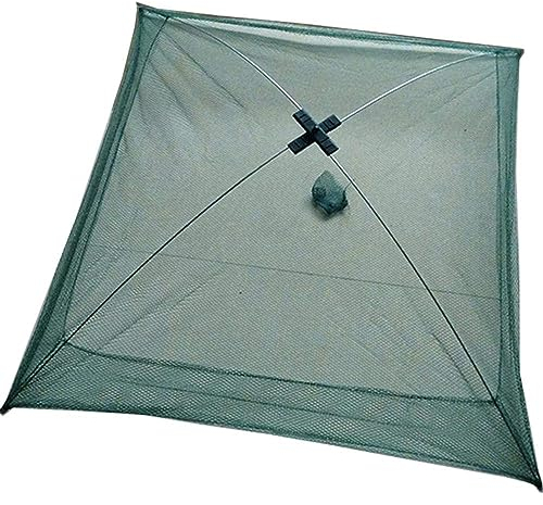 DELURA Senke Angeln Wurfnetz Zum Fischen Angelnetz Faltbare Köderfischreuse Fisch Reuse Fischernetz Köderfischsenke Reusen für Fischfang Fisch Minnow Panzerkreis Garnelen (Size : 80x80cm)