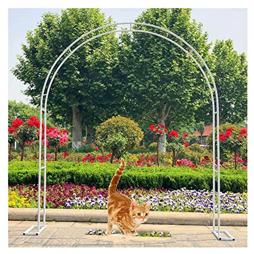 Cenador de metal para plantas trepadoras, enrejado de arco de jardín para decoración de bodas, resistente a la intemperie, arco de jardín, árbol de rosas