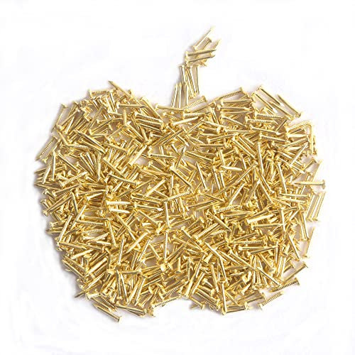 huruirui 1 * 10mm 500Stück Kleine Nägel Eisennagel für von Bildern Nägel für Bilder Aufhängen Holzbearbeitung Möbel DIY Dekorative Nägel Klein Goldene