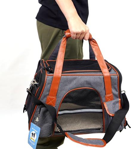 Sac de transport respirant pour chien et chat pour animal domestique, transporteur de voyage, aération, poches latérales, deux portes avec laisse pour voiture (gris, 24 x 28 x 43 cm)