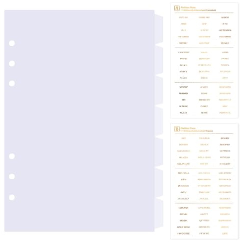 DY.2ten transparent Ordner Trennblätter A5 6 Loch 7 Blätter, Kunststoff Ordner Register A5 Index ​Teiler für Ringbuch,Notizbuch,Planer(21cm x 14.2cm)