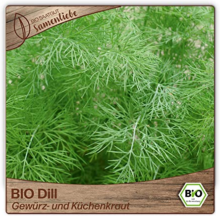 Samenliebe BIO Dill Samen alte Sorte Gewürz- und Küchenkraut aromatische Küchenkräuter Wildkräuter grün gelb 500 Samen samenfestes Kräuter Saatgut für Küche indoor und Balkon Garten BIO Kräutersamen