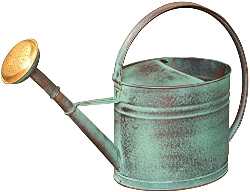 Gießkanne grün 4 l + Brausekopf aus Messing