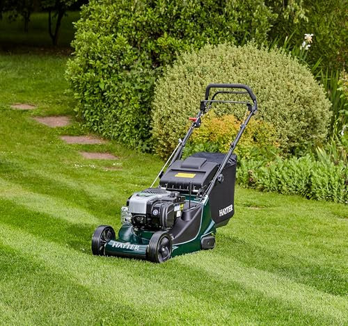 Hayter Harrier 41 Lawnmower Petrol Variable Speed Rear Roller Lawnmower 41cm (375A)