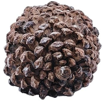 Nascondiglio Per Chiavi, Nascondi Chiavi A Pigna Resina Per Giardino, Portachiavi Mimetizzato Naturale, Soluzione Sicurezza Esterno Anti-Pioggia (11.5cm, 135g)