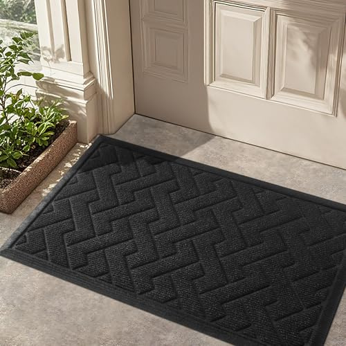 LEKEEPGO Tappetino per porta, 60 x 90 cm, zerbino interno esterno, antiscivolo, antiscivolo, ingresso lavabile, tappetino d'ingresso interno assorbente e durevole, nero