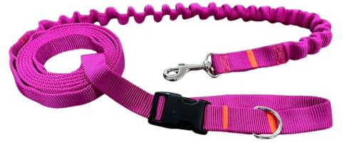 Hundeleine mit Ruckdämpfer, 280cm Verstellbar, Freihändig Jogging-Leine mit Hüftgurt – Sportliche Hunde-Leine für Laufen und Wandern (Fuchsie)