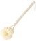 APOMOONS Spazzola Schiena Doccia, 2 in 1 Spazzola Corpo, Spazzola Anticellulite con Manico Lungo, Spugna Doccia e Spazzola Dry Brushing Corpo