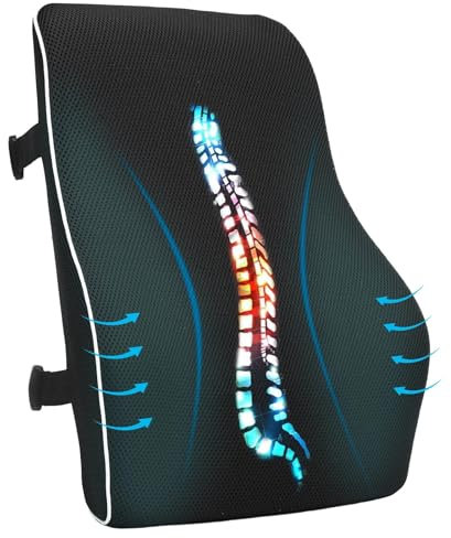 CROWNSHOP Lumbar Support Pillow for Office Chair Ergonomic Lumbar Support Cushion Car Memory Foam Cushion for Large Pillow for Gaming Chair, Recliner Double