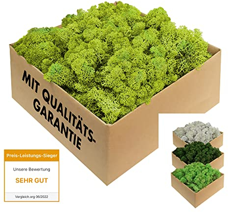 GJS Islandmoos - konserviertes Moos zum Basteln, Deko & DIY für künstliche Bilder, Pflanzen-Wand, Kunst, Modellbau sowie Oster- (Gras, Nest) & Weihnachtsdeko (Krippe, Adventskranz) (hellgrün, 200 g)