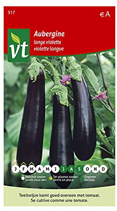 Aubergine Violette Long Seeds per gram - Beautiful Purple Colour - 1 g - Seeds per gram: 250