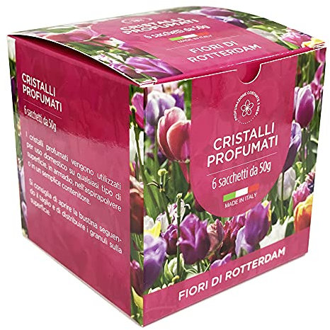 DL SERVICE Granuli Profumati per Aspirapolvere, Ambienti e Tessuti, Cristalli per ambiente - Scatola da 6 bustine da 50gr (Fiori di Rotterdam)