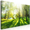 B&D XXL Wandbild Mega XXXL Bäume Einteiliger XXL-Format Kunstdruck zur Selbstmontage Leinwandbilder moderne Bilder DIY Wanddekoration Wohnung Deko Natur c-B-0053-ak-e