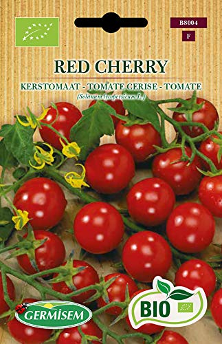 Bio Tomatensamen RED CHERRY