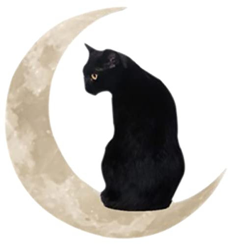 Adifare Metal Wall Decor Black Cat and Moon, Hanging Modern Wall Art Decorations for Indoor Outdoor Living Room Bedroom Kitchen Hallway Stairs,30 x 30cm(Cat)