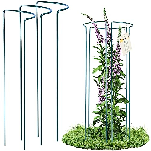 KADAX Pflanzenhalter, 3 Stück, Pflanzenstütze aus Stahl, halbrunde Rankhilfe für Pflanzen, Garten, wetterfester Blumenhalter, Staudenhalter, Strauchstütze, Blumenstütze, freistehend (Höhe: 75 cm)