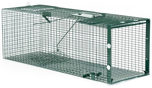 ITA Trappola 5002IT - 90x30x30 cm - 1 Porta, Resistente agli Agenti Atmosferici, Riutilizzabile, Montata