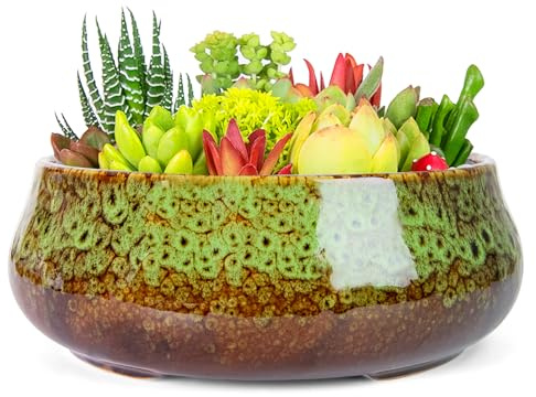 ARTKETTY Succulent Plant Pot - 20 CM Large Bonsai Pots with Drainage, Ceramic Planters for Indoor Outdoor Plants, Round Shallow Cactus Flower Plant Container Bowl