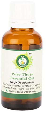 Thuja Essential Oil | Thuja Occidentalis | Thuja Oil | Thuja Occidentalis Oil | Undiluted | for Skin | 100% Pure Natural | Steam Distilled | Therapeutic Grade | 50ml | 1.69oz by R V Essential