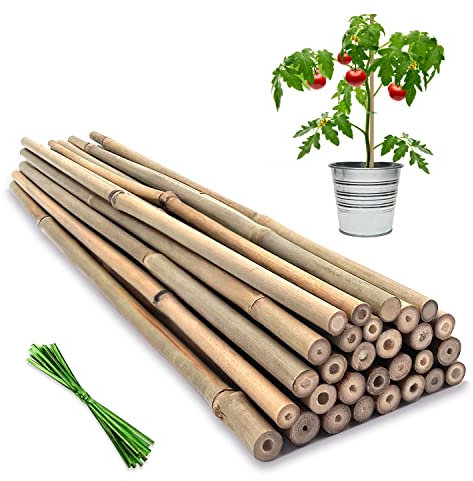 Plant Stakes,16IN Natural Garden Bamboo Sticks, 20Pcs Plant Support Stakes