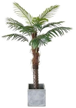 Krukväxter Konstgjord palm, 160 cm högt falskt träd med kruka for inomhus utomhus Hem Vardagsrum Kontor Trädgård Veranda Dekoration Simuleringsanläggning Bonsai