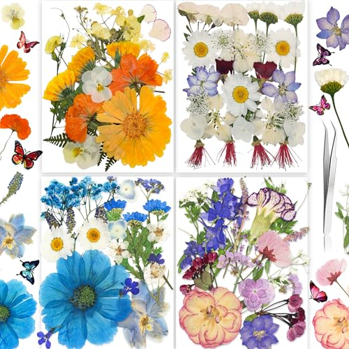 134 STÜCKE Echte Getrocknete Gepresste Blumen für Harzformen, Trockenpressen-Blumen-Set für die Herstellung von DIY-Schmuck, Nagelkarten, Scrapbook-Kunsthandwerk und Dekorationen Twinkle