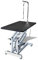 Tidyard Hydraulische Höhenverstellung Faltbare Trimmtisch 115 x 60 x 128-177 cm für Katze Hundepflege, oder bei Hundeausstellungen,Schertisch Pflegetisch Mit passenden Trimm-Schlaufe,Bis 60 kg