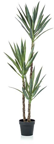 artplants.de Konstpalm Yucca FRONTEIRA, 150 cm