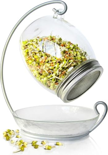 Design Sprossenglas hängend/dekoratives Sprossen Anzuchtset/Keimglas für Sprossen 850 ml/einzigartiges Gadget für Küche/Samen Anzucht/Microgreens