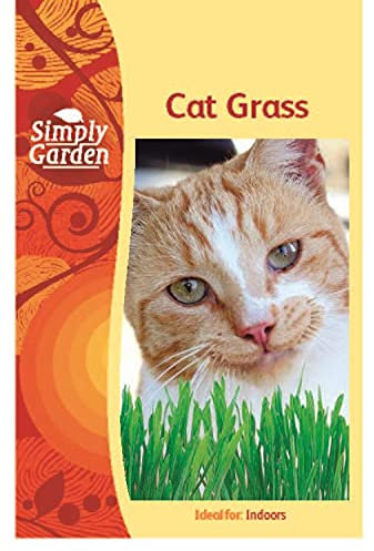 Simply Garden Cat Grass Seeds Indoor Planting All Year Round