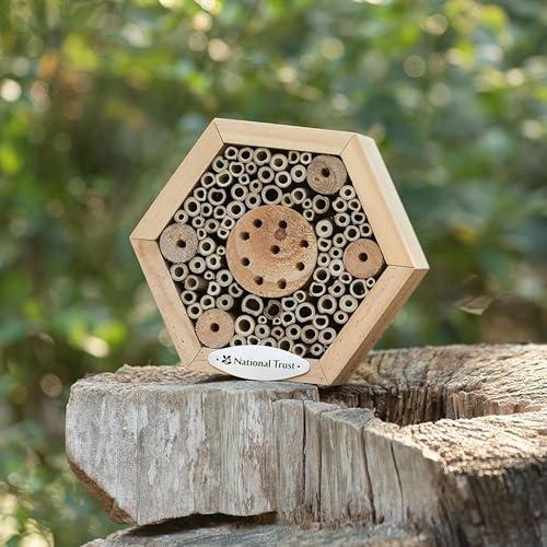 National Trust Bug Hotel – Bee House Insect Hotel – Hexagon Wood FSC 100% – Garden Outdoor Nesting Shelter