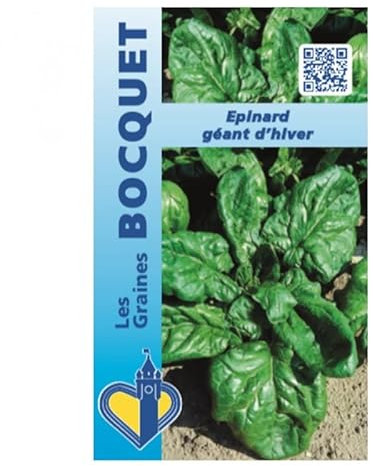 Sachet de graines de Epinard géant d'hiver - 15 g - légume feuille - LES GRAINES BOCQUET
