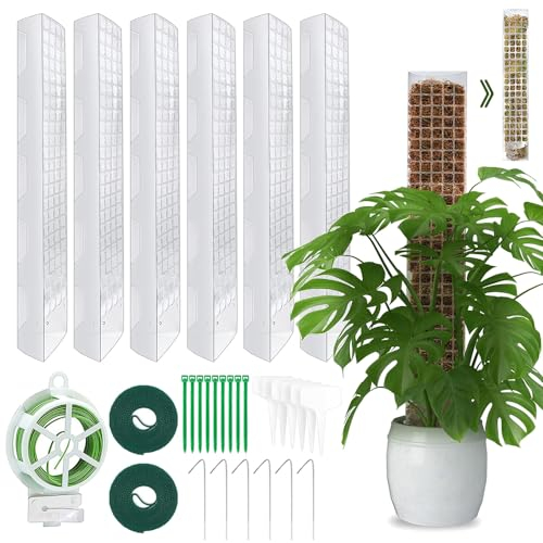 Tuteur Sphaigne,Lot de 6 Tuteurs en Mousse, Tuteurs pour Plantes d'intérieur, tuteur Monstera, tuteur Monstera, avec 6 piquets, 2 Bandes Velcro, 30 m, 10 étiquettes pour Plantes et 10 Serre-câbles.